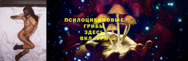 mdpv Алзамай