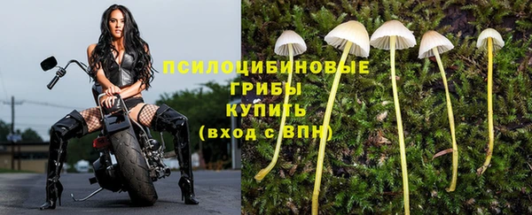 mdpv Алзамай